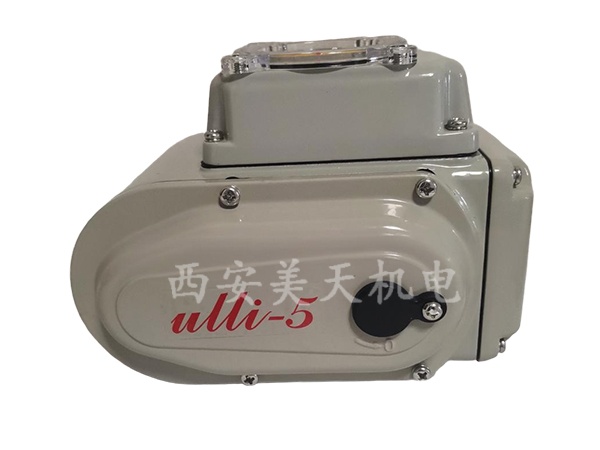 1759827151723374.jpg ulli.jpg